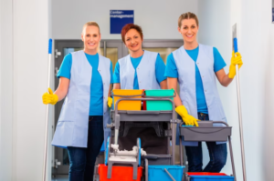 Professional Cleaning services